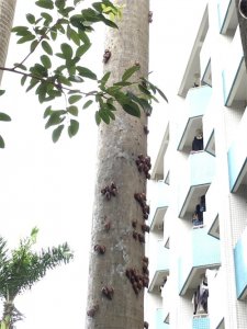 ​这蜗牛成精了！好恐怖！有密集恐惧症的人勿进